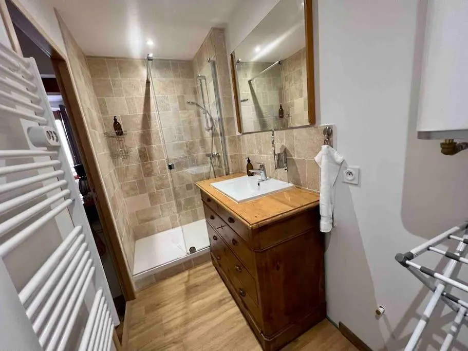 Appartement 2 Pieces Hyper Centre Historique Grenoble